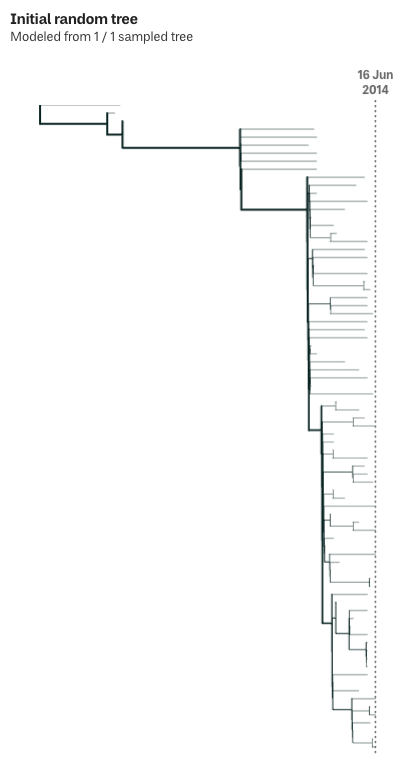 A phylogenetic tree labelled 'Initial random tree', drawn with black lines on a white background. The tree starts in the upper left, and each branching point has exactly two branches. Each branch is connected to its parent by a vertical bar from the parent (one up, one down), that then turns 90° to the right. The horizontal segment of each branch is of different lengths. The branches get much denser in the right half of the diagram. The lines making up the branches get thinner as the tree gets denser. The overall shape starts at the top left, expands a bit downwards as a few more branches are added, and in the last quarter of the diagram, cascades organically down to the right, until it spans the entire height of the diagram. At the right edge of the diagram, aligned with the tip of the rightmost branch, is a dotted line labelled '16 Jun 2014'.