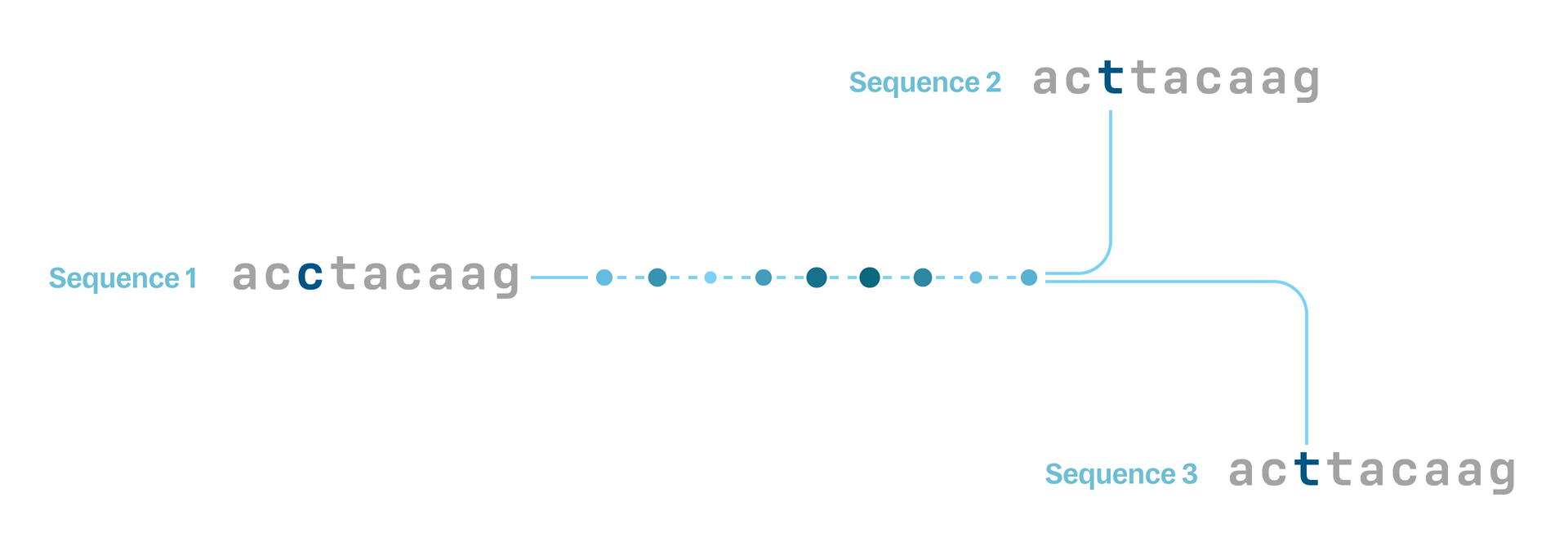Much like diagram B above, this shows a short short genetic sequence with a long branch which splits to connect to two descendant sequences. This time, on the branch between the ancestor and the mutation are nine dots, each representing a possilble moment when the mutation occurred. We can be confident that there was only one mutation, but there is still uncertainty as to when.